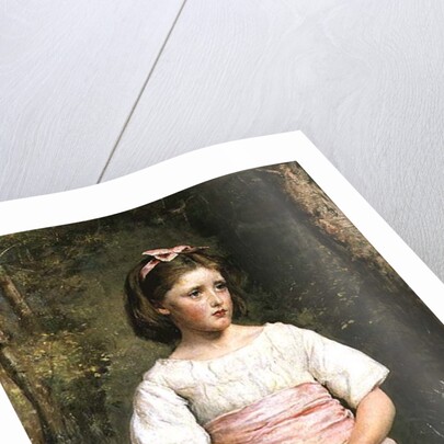 Dropped from the Nest by John Everett Millais