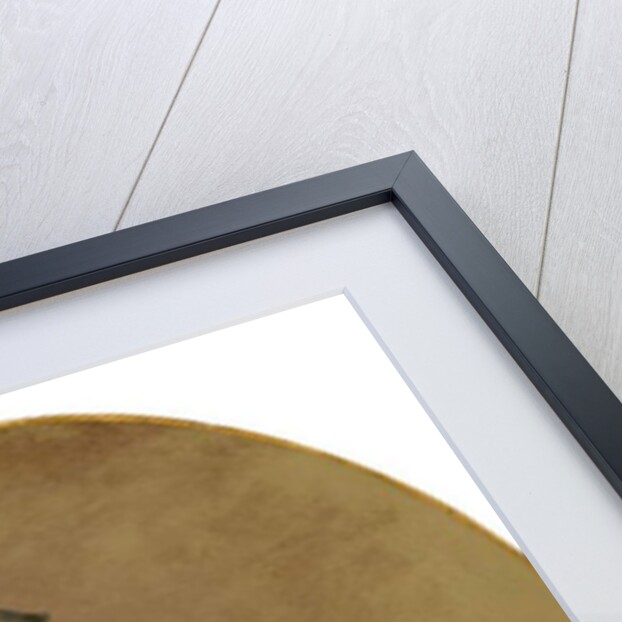 Young Girl holding Two Puppies, c.1770 by Jean-Honore Fragonard