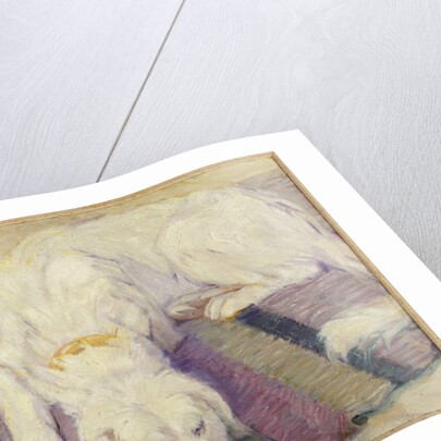 Sleeping Dog, 1909 by Franz Marc
