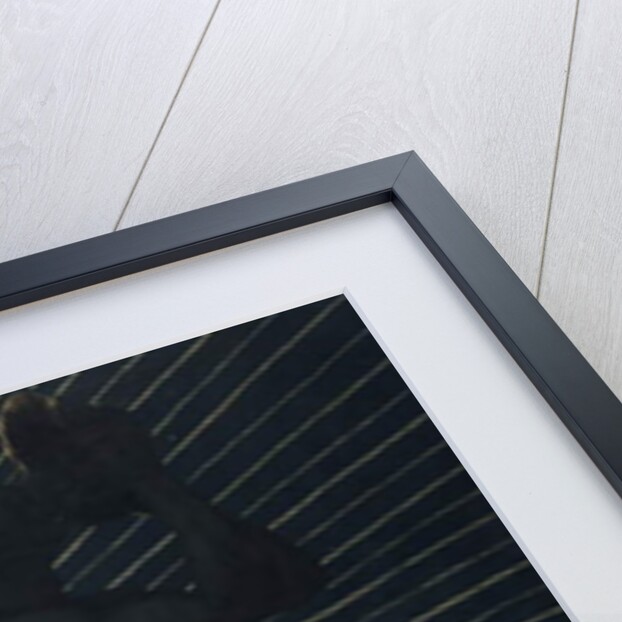 Triton pair, 1892 by Hans Thoma