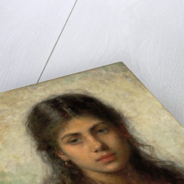 Girl with a Red Shawl, by Alexei Alexevich Harlamoff