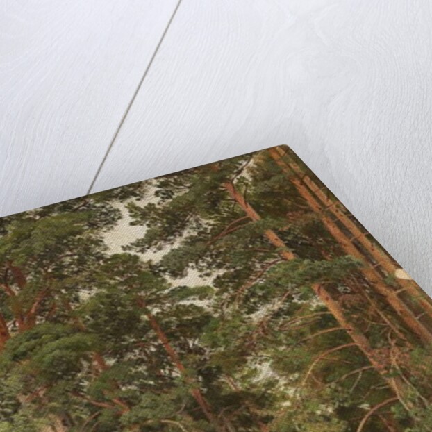 A Summer Day, Merikiul, 1895 by Ivan Ivanovich Shishkin