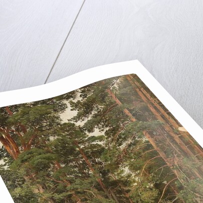 A Summer Day, Merikiul, 1895 by Ivan Ivanovich Shishkin