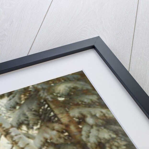 A Winter Morning, 1901 by Gavril Pavlovich Kondratenko