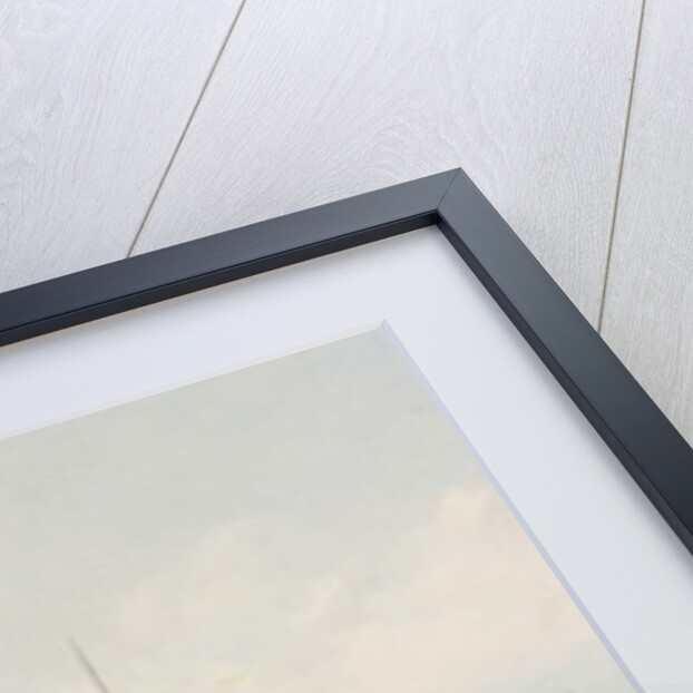 A Group of Officers and Soldiers from the Life Guard Lancer Regiments of His and Her Majesties, 1873 by Petr Balashov