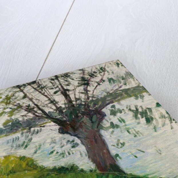 Willow by the River; Saule au bord de la riviere, c. 1891 by Gustave Caillebotte
