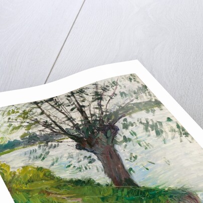 Willow by the River; Saule au bord de la riviere, c. 1891 by Gustave Caillebotte