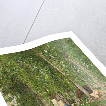 Undergrowth at Moret, 1902 by Camille Pissarro