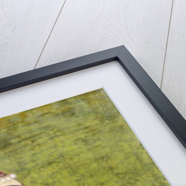 Portrait of a Lady Holding a Lotus, c. 1740-1750 by Indian School