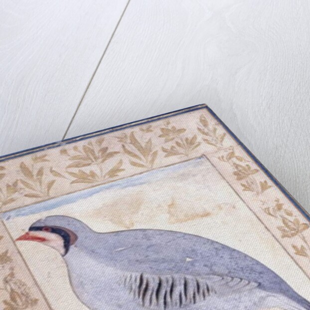 A Red-legged Partridge, c. mid 17th century by Persian School