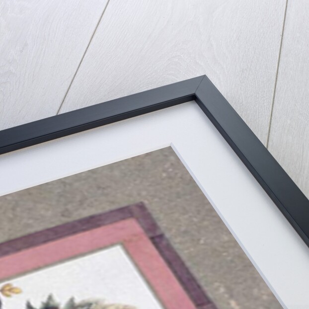 Bird and Flower Study, c.1780 by Persian School