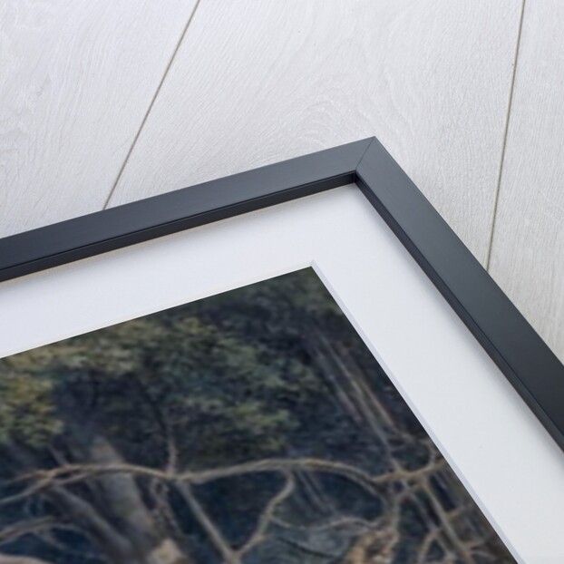 Hindu Temples at Agori, Uttar Pradesh by Thomas & William Daniell