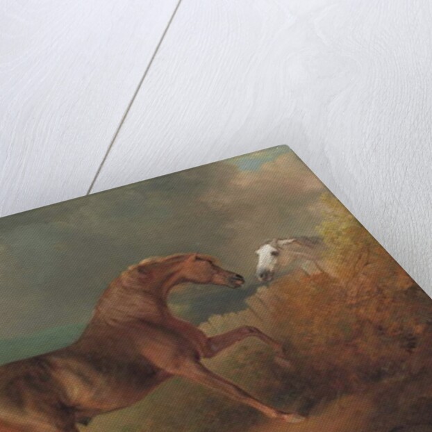 Colonel Thornton's Jupiter, by Eclipse out of a Mare by Tartar, by a Fence, with a Grey Mare, at Thornville Royal, 1792 by Sawrey Gilpin