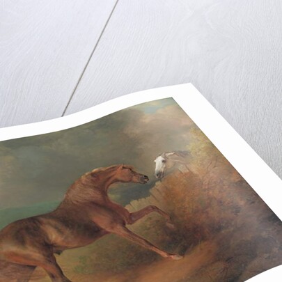 Colonel Thornton's Jupiter, by Eclipse out of a Mare by Tartar, by a Fence, with a Grey Mare, at Thornville Royal, 1792 by Sawrey Gilpin