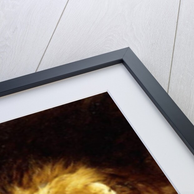 The Head of a Lion, by Geza Vastagh