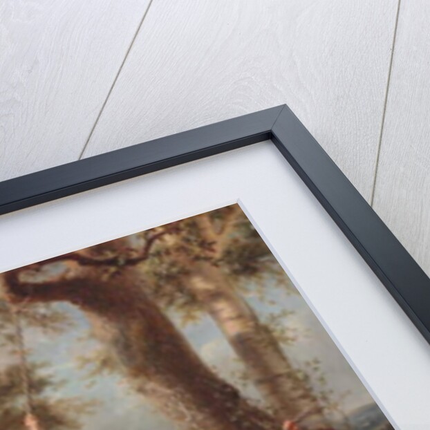 The Swing, 1848 by Francois Verheyden