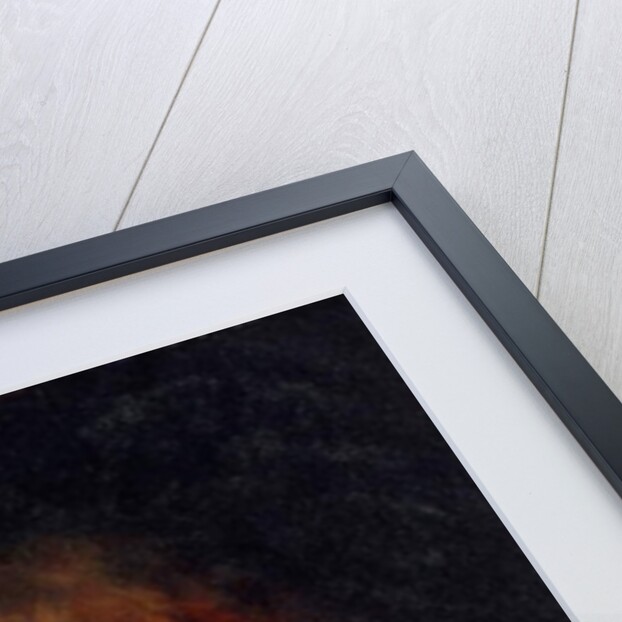 Portrait of Miss Addison Head of San Francisco, 1874 by William-Adolphe Bouguereau