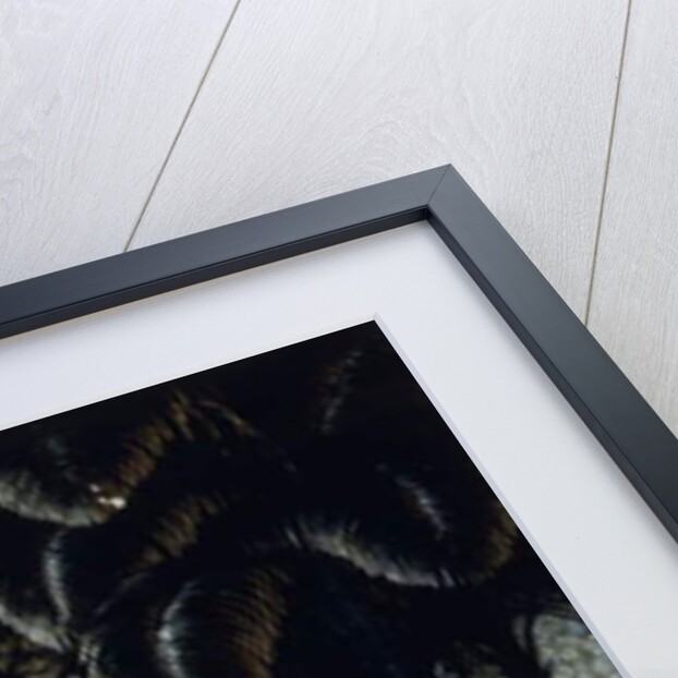 View across the Sawahs to Gunung Agung, c. 1937-1939 by Walter Spies