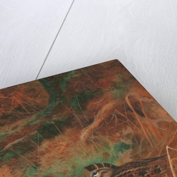 A Woodcock and Chick in Undergrowth, 1905 by Archibald Thorburn