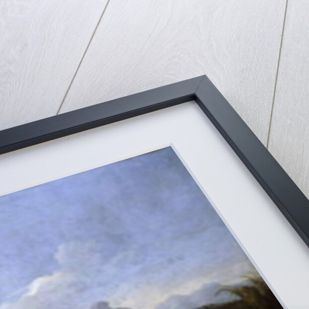 Jacob and His Family Entering Egypt by Willem Reuter