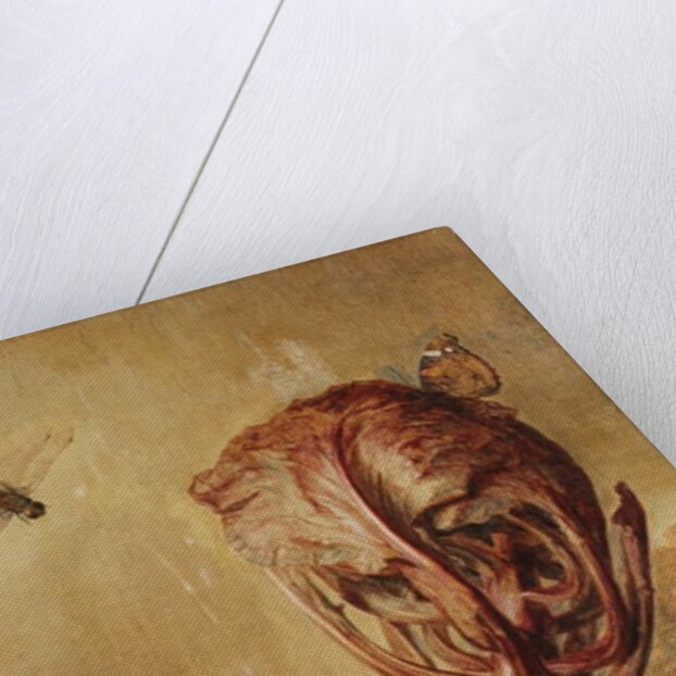 A red cabbage, a snail, a butterfly, a dragonfly, a bee and a wood louse in a landscape by Margarethe de Heer