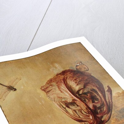 A red cabbage, a snail, a butterfly, a dragonfly, a bee and a wood louse in a landscape by Margarethe de Heer