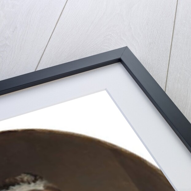 Queen Victoria, 1877 by Heinrich von Angeli