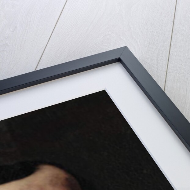 Portrait of Monsieur Nicolle, 1862 by Gustave Courbet