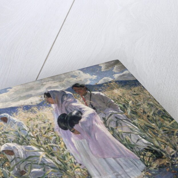 Indian corn, Taos by Walter Ufer