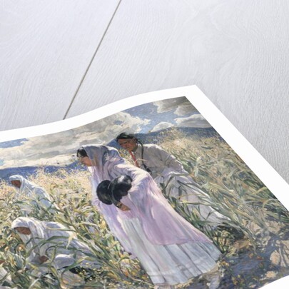 Indian corn, Taos by Walter Ufer