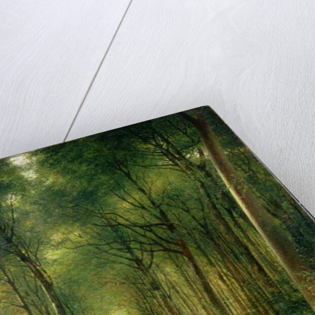 The Beech Avenue, Denbies, 1870 by Richard Redgrave