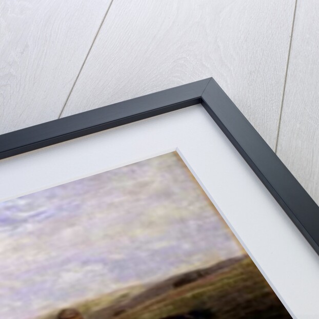 Grouse Shooting, 1901 by Heywood Hardy