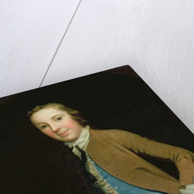 Portrait of Master Francis Barrell, 1750s by George Knapton