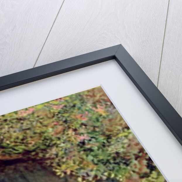 The Visitor by Arthur Hopkins