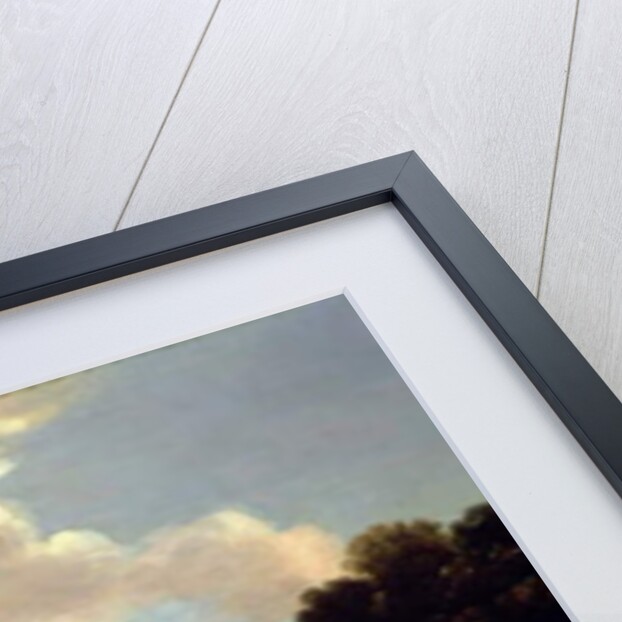 View of Old Horse Guards Parade from St. James' Park by Thomas van Wyck