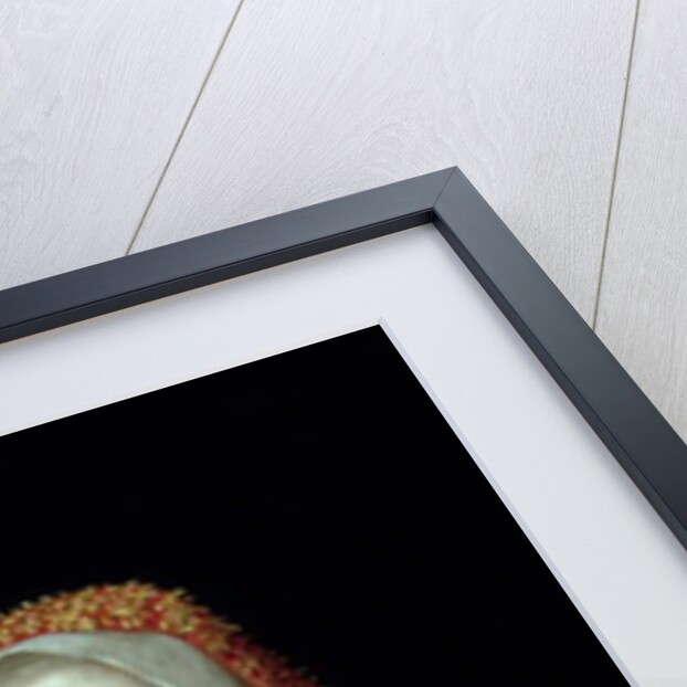 Christening, Portrait of A Mother And Child, c.1595 by English School