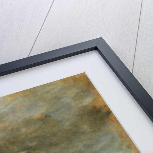 A Cloud Study by John (attr. to) Constable