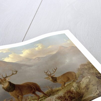 Stags And Hinds In A Highland Landscape, 1864 by John Frederick Herring Jnr