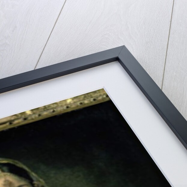 Portrait of a Mogul Lady, 1787 by Francesco Renaldi