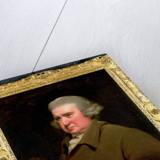 Portrait of Dr Erasmus Darwin, scientist, inventor and poet, grandfather of Charles Darwin, 1792-93 by Joseph Wright of Derby