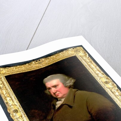 Portrait of Dr Erasmus Darwin, scientist, inventor and poet, grandfather of Charles Darwin, 1792-93 by Joseph Wright of Derby