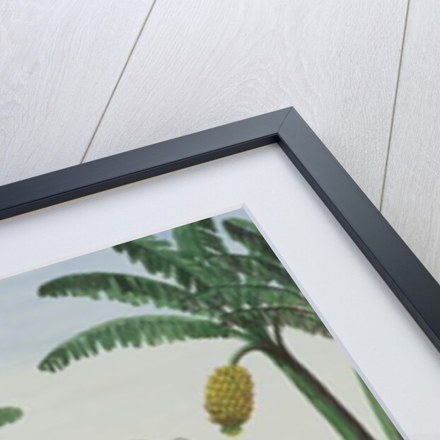 A Game of Panguingui by Jose Honorato Lozano