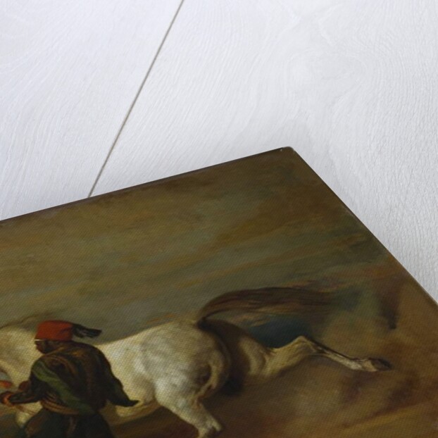 The Pasha's Pride by Alfred Dedreux or de Dreux