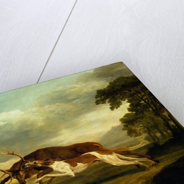 A Hound attacking a stag by George Stubbs