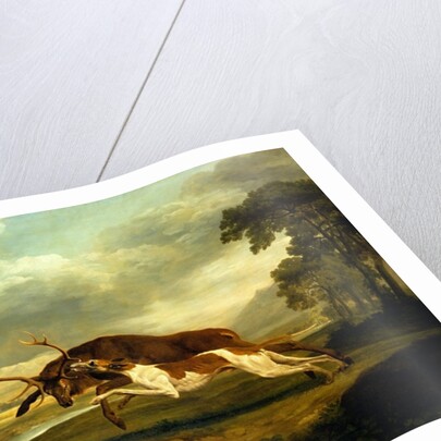 A Hound attacking a stag by George Stubbs