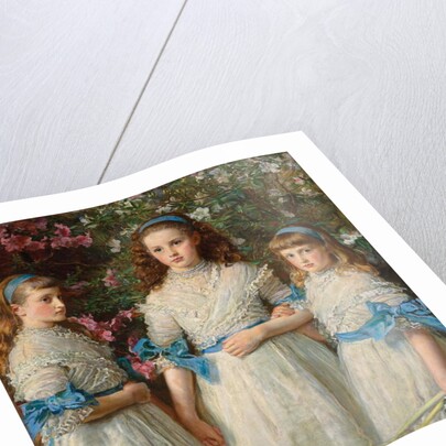 Sisters, 1868 by John Everett Millais