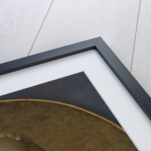 Portrait of a woman by Elisabeth Louise Vigee-Lebrun