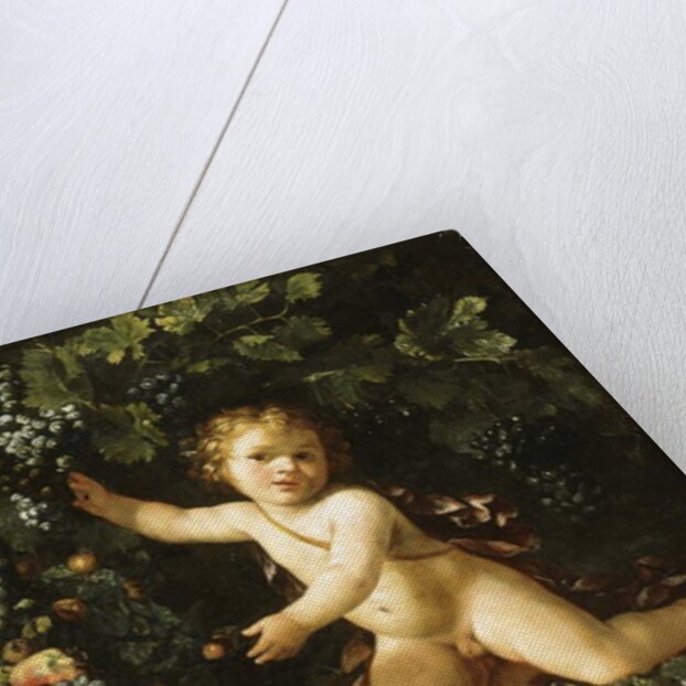 Grapes on the vine, pomegranates, grapes, and rosehips in a basket, with figs, apples, pears and chestnuts by a putto by Master of the Acquavella Still Life