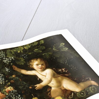 Grapes on the vine, pomegranates, grapes, and rosehips in a basket, with figs, apples, pears and chestnuts by a putto by Master of the Acquavella Still Life