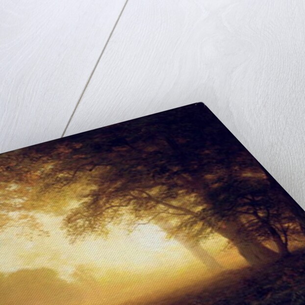 Golden Light of California by Albert Bierstadt